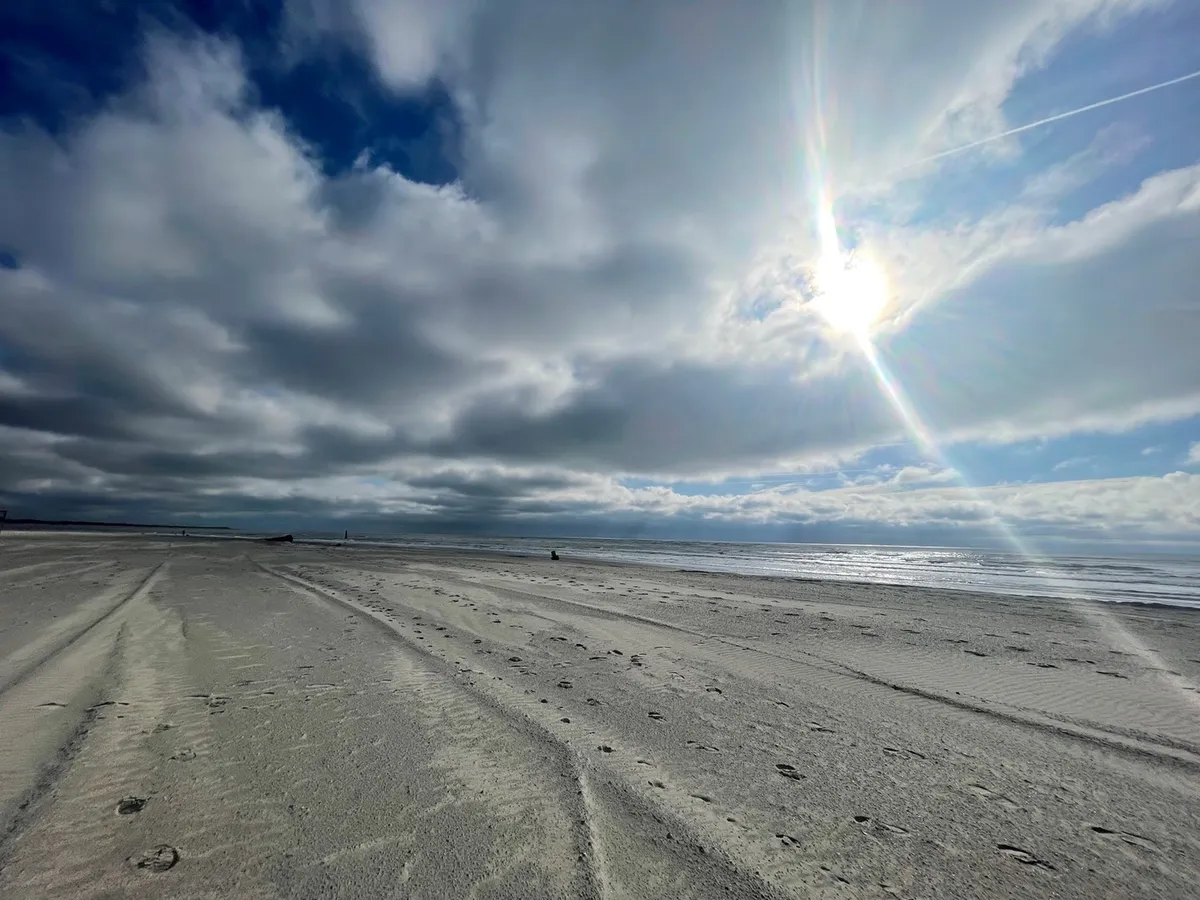 A serene beachfront scene where sunlight sparkles on the water, fluffy clouds drift overhead, and gentle footprints in the sand suggest recent walks. The image conveys the calm and beauty of early morning or evening strolls along the shore, a perfect activity for pet owners.